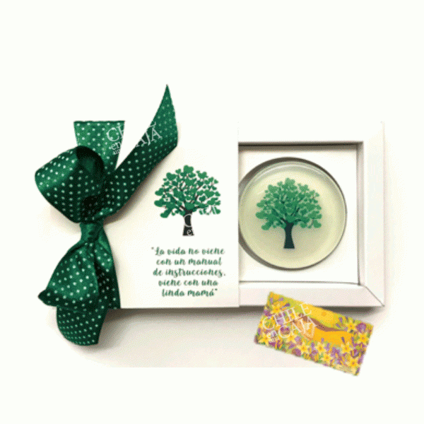 CORMUJ102-Jabon-diseño-en-caja-