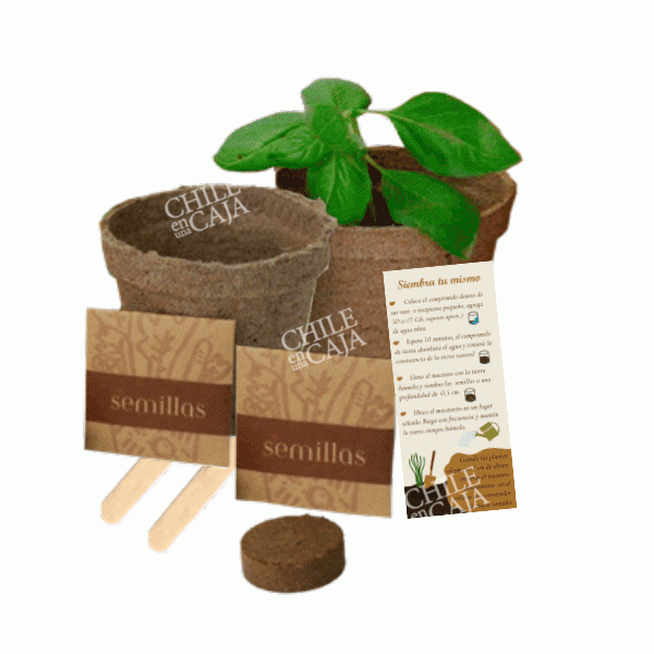 _CORECO031-Set-dos-kit-siembra-