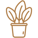 eco